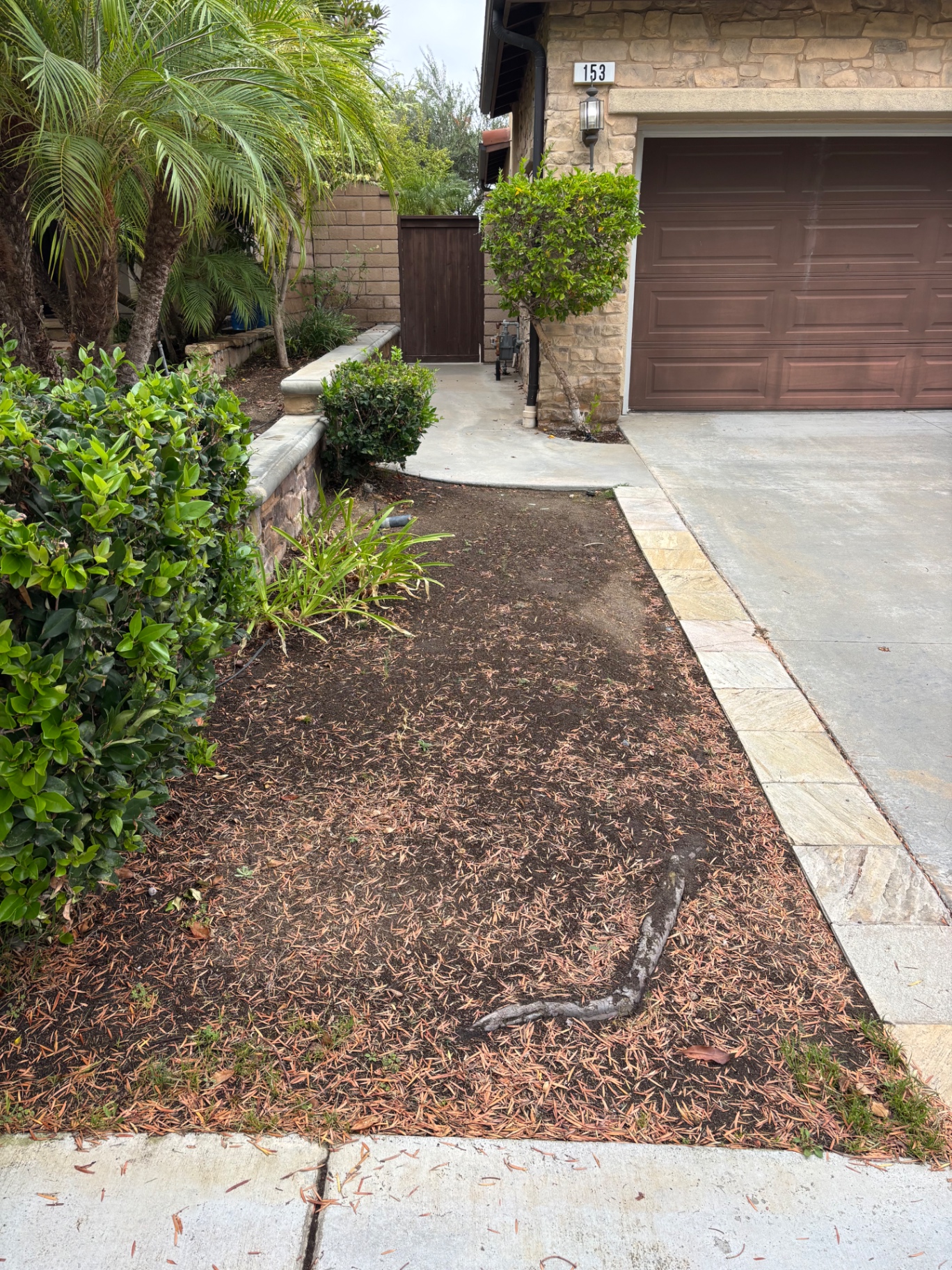 Front Yard Makeover — before